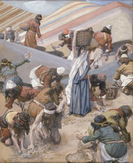 The Gathering of the Manna James Tissot