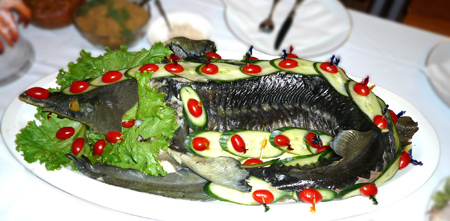 Sturgeon in Aspic, a traditional Russian method of preparing this Caspian Sea fish.  A sturgeon like this one prompted the reaction that so embarrassed Sergei Kapitonich Ahineev that he resorted to slander in a vain attempt to preserve his reputation.  (Photo:  Cuisine by Andrei)