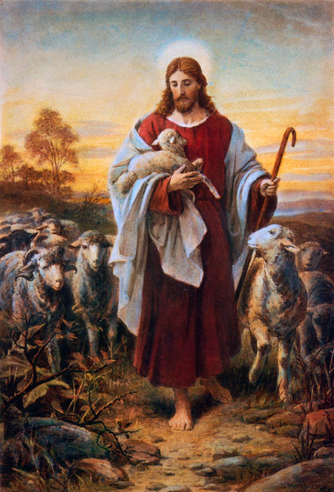 This famous painting, Good Shephard, by Bernhard Plockhorst, depicts the well-known ministry of Messiah Yeshua seeking the "lost sheep".  Until recently, it was seldom understood that this aspect of His ministry was the beginning of the prophesied restoration of all Israel, including the Lost Tribes of the House of Ephraim.
