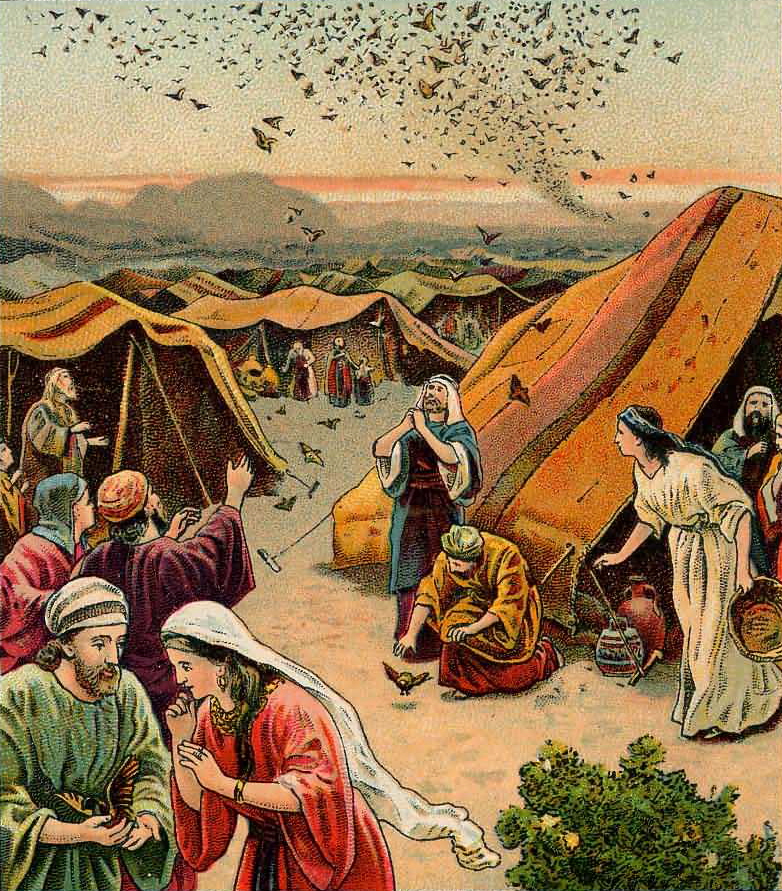 The Giving of the Quail.  Illustration from a Bible card published by the Providence Lithograph Company, 1901.