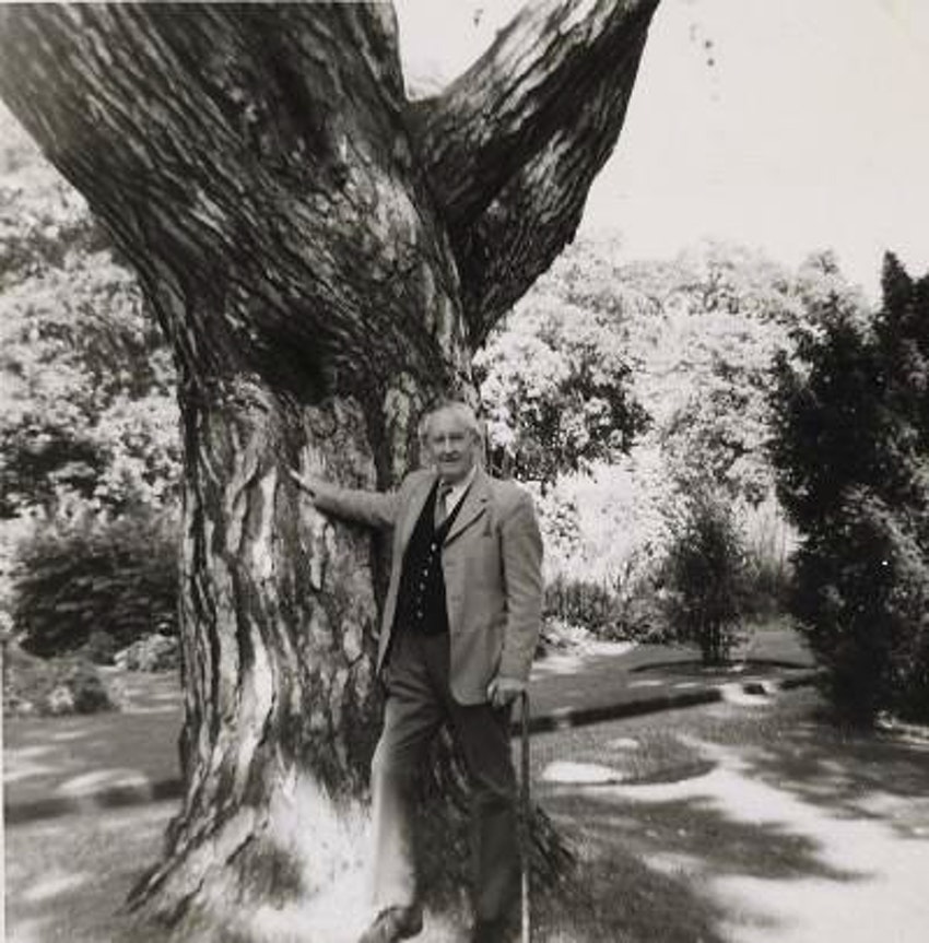 BFB201213 Tolkien at Tree